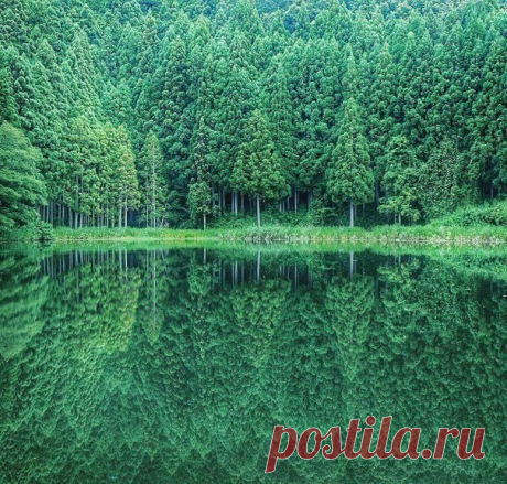 Природное зеркало