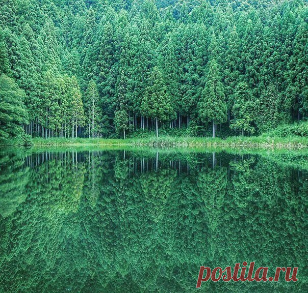 Природное зеркало