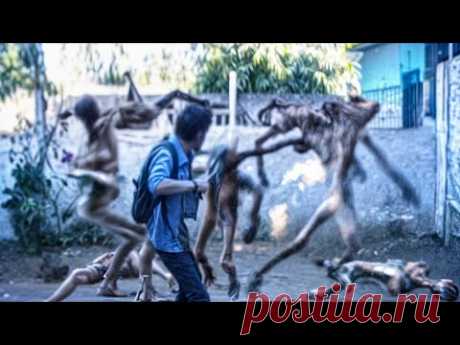 If These Crazy Encounters Were Not Filmed No One Would Have Believed It!