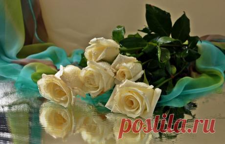 0_5bf02_139d9762_XXXL.jpg (1280×821)