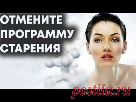 Все это продлит молодость