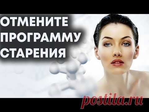 Все это продлит молодость