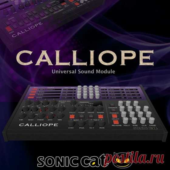 Sonic Cat CALLIOPE KONTAKT  | 788 MB
CALLIOPE is Universal Sound Module virtual instrument. It contains many instruments for all musical genres like a hardware sound module, ROMpler or music workstation

Download at:

https://audioclub.store/uncategorized/sonic-cat-calliope-kontakt/