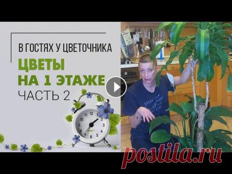 Навожу порядок на 1 этаже |  Часть 2  |  Пересадка растений. Какие растения можно сажать вместе? Добро пожаловать ко мне в гости) Я решила навести зеленую красоту на 1 этаже своего дома. Буду пересаживать огромное количество своих крупномеров в кр...