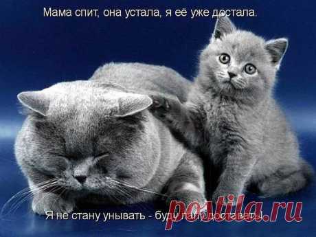 А вообще -то, я достану  всех!!!