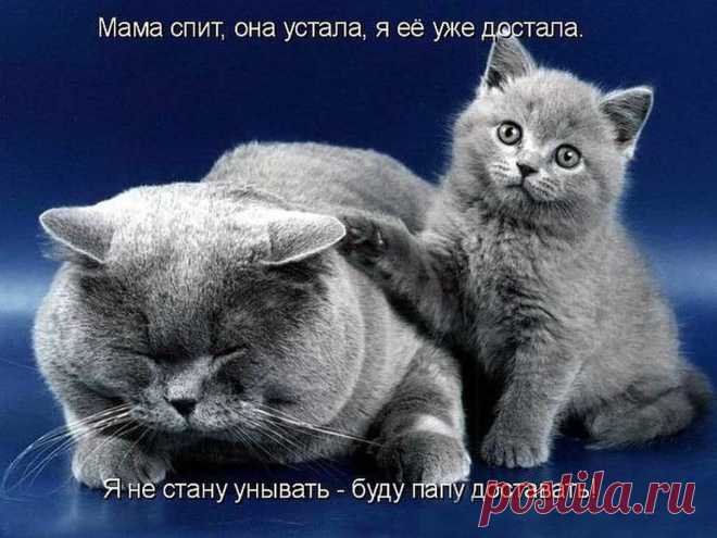 А вообще -то, я достану  всех!!!