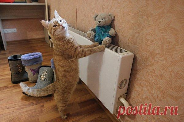 Теплосетям и водоканалам повысят штрафы за холод в квартирах 14.04.2022 г. Госдума готовит ко второму чтению проект поправок в КоАП, повышающий штрафы для теплосетей и водоканалов за холод в наших батареях, недостаточно горячую воду и другие недоработки. Если нам вдруг стало холодно и неуютно в родных стенах, коммунальные службы ответят за это рублем.