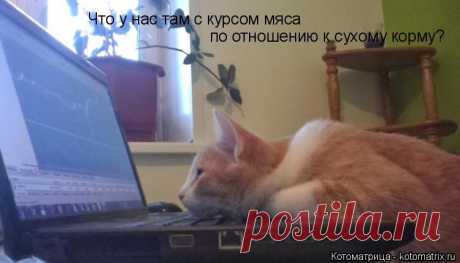 )))
