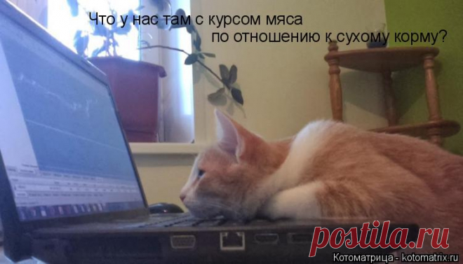)))