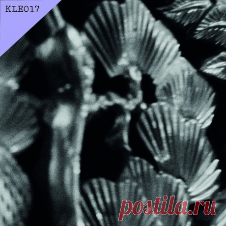 Gorge – Roots [KLE017]