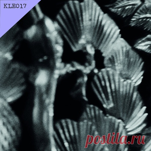 Gorge – Roots [KLE017]