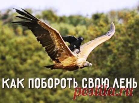 (+1) тема - Как побороть свою лень | Полезные советы