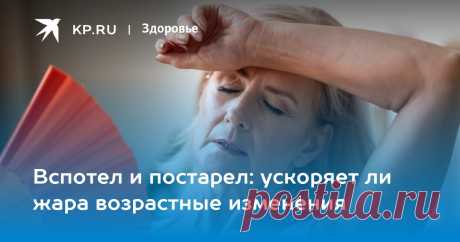 4-8-23-Вспотел и постарел: ускоряет ли жара возрастные изменения Профессор Москалев: сладости в жаркую погоду усиливают появление морщин