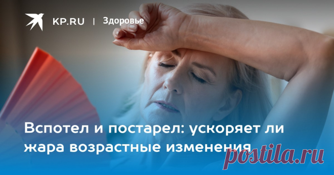 4-8-23-Вспотел и постарел: ускоряет ли жара возрастные изменения Профессор Москалев: сладости в жаркую погоду усиливают появление морщин