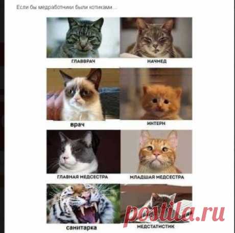 Альбом Это я Игорь Светлов, 72 года, Россия, Ставрополь - Сеть знакомств Мамба.