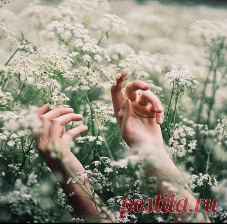 13 признаков того, что Вы гораздо успешнее, чем Вам кажется
Многие люди испытывают неуверенность в своих силах. Однако поступки могут многое рассказать о людях. И если Вы проанализируете свои поступки, то увидите много подтверждений своей успешности. Сегодня рассмотрим некоторые признаки того, что Вы намного успешнее, чем Вам кажется. Вы не слушаете чужие советы Если Вам с самого детства не давали проявлять самостоятельность, то и во взрослой жизни […]
Читай дальше на сайте. Жми подробнее ➡