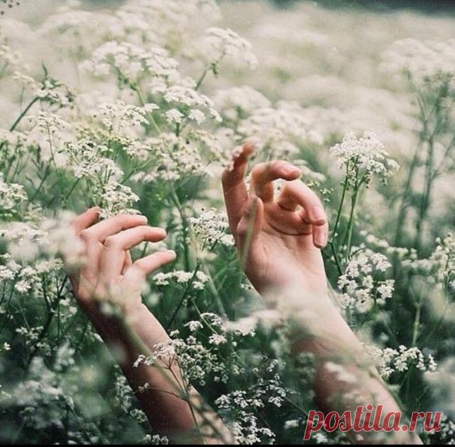 13 признаков того, что Вы гораздо успешнее, чем Вам кажется
Многие люди испытывают неуверенность в своих силах. Однако поступки могут многое рассказать о людях. И если Вы проанализируете свои поступки, то увидите много подтверждений своей успешности. Сегодня рассмотрим некоторые признаки того, что Вы намного успешнее, чем Вам кажется. Вы не слушаете чужие советы Если Вам с самого детства не давали проявлять самостоятельность, то и во взрослой жизни […]
Читай дальше на сайте. Жми подробнее ➡