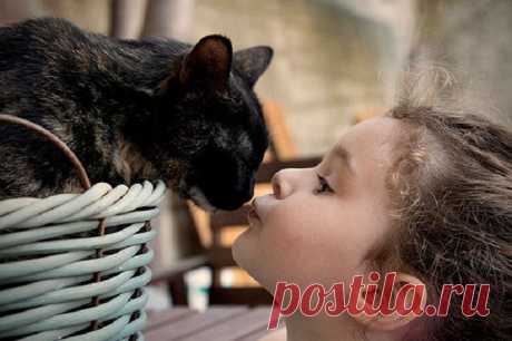 Милота без границ: 23 добрейшие фотографии детей с кошками