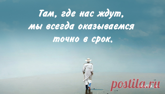40 вдохновляющих цитат Пауло Коэльо