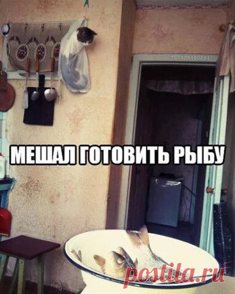 хх