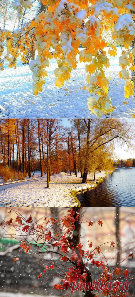 Первый снег - как же радует он всех...