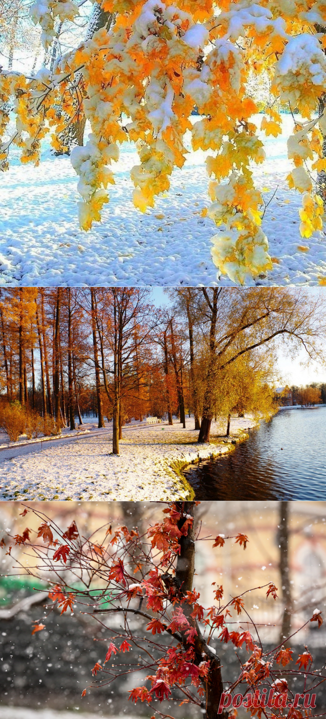 Первый снег - как же радует он всех...