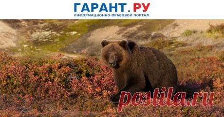 Уникальные территории страны должны стать доступнее для туристов, но без ущерба для природы Госдума приняла во втором чтении законопроект о туризме на особо охраняемых природных территориях.