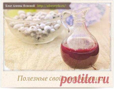 Польза черники для нашего здоровья и красоты - полезные рецепты