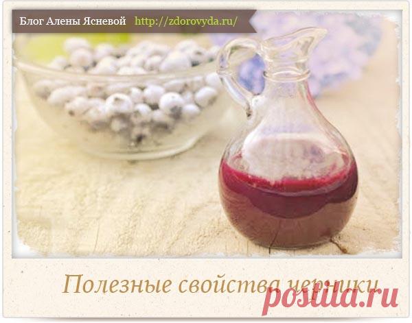 Польза черники для нашего здоровья и красоты - полезные рецепты