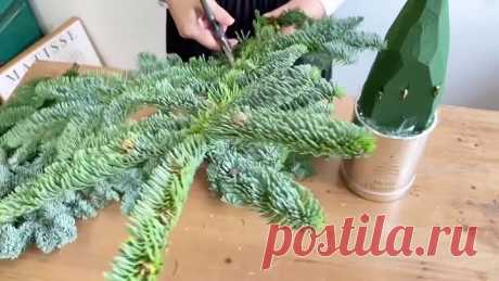 10000000_266832139707743_4899729552141901211_n