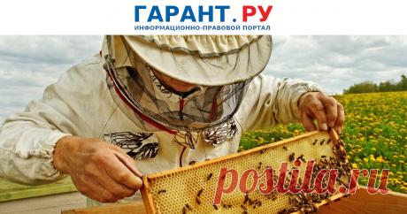 Пчеловоды будут вовремя узнавать о применении пестицидов С 1 сентября 2024 года уведомлять население о применении пестицидов нужно будет не ранее чем за 10 дней и не позднее чем за 5 дней до проведения таких работ.