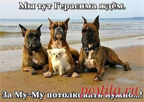 Друзья