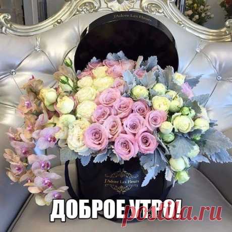 ПРЕКРАСНЫХ ВЫХОДНЫХ