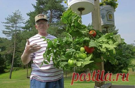 Дом, сад, огород | Домохозяйка