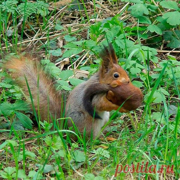 Интересные новости