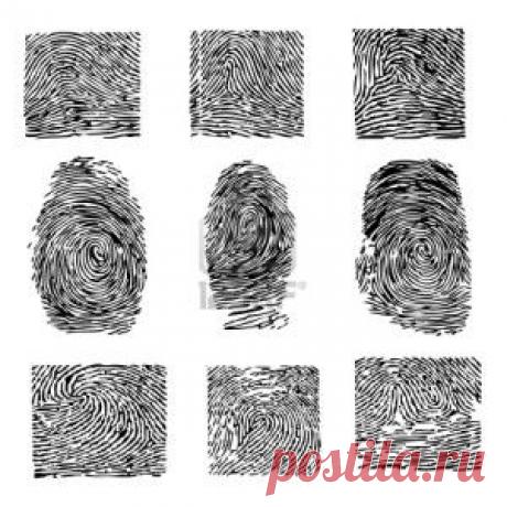 Дактилоскопия | Science evolution