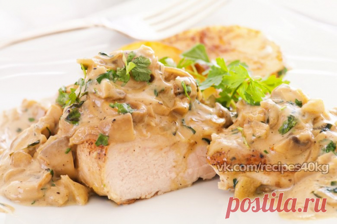 6 рецептов из курицы. Разнообразьте свое меню! Блюдо на каждый день!