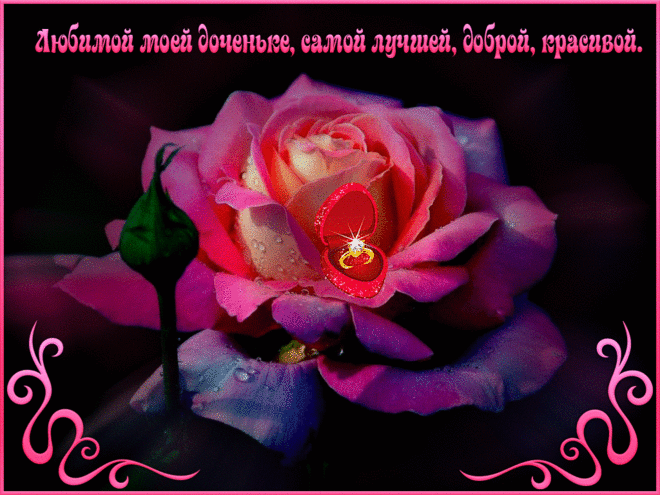 1roza.gif (1024×768)