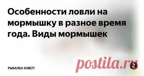Особенности ловли на мормышку в разное время года. Виды мормышек Мормышка является одной из самых распространённых снастей для рыбной ловли. Она представляет собой соединение крючка с грузилом. Для её изготовления используют разные материалы, чаще всего это свинец, сталь, медь, вольфрам, серебро и их сплавы. Отверстие для лески может находиться в центре грузика или прикреплено отдельно. Существуют разнообразные варианты в зависимости от веса, формы, цвета, разм