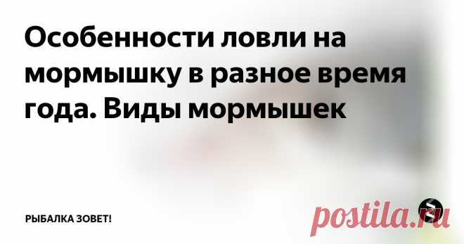 Особенности ловли на мормышку в разное время года. Виды мормышек Мормышка является одной из самых распространённых снастей для рыбной ловли. Она представляет собой соединение крючка с грузилом. Для её изготовления используют разные материалы, чаще всего это свинец, сталь, медь, вольфрам, серебро и их сплавы. Отверстие для лески может находиться в центре грузика или прикреплено отдельно. Существуют разнообразные варианты в зависимости от веса, формы, цвета, разм