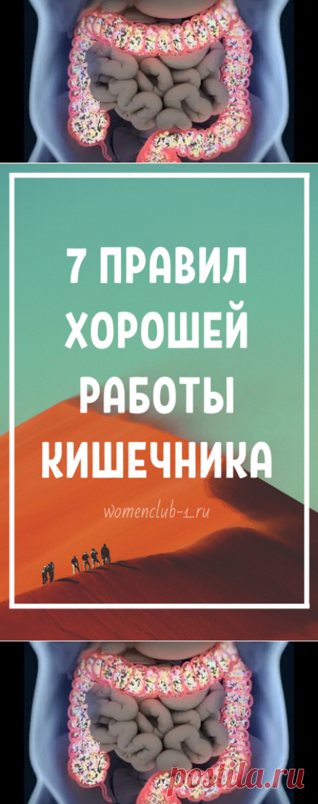 7 правил хорошей работы кишечника