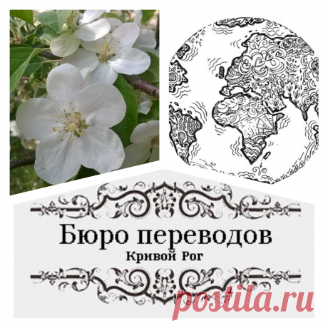 Лучшие цены 💰💵 в Кривом Роге только в нашем бюро переводов! Как на перевод документов 📂 так и на легализацию. Огромное количество языков мира 🔤 от английского до японского. Звоните по телефону 📲 (056) 4990304 сайт www.buroperevodov.net Бюро переводов Кривой Рог #бюропереводов #перевод #апостиль #кривойрог #Украина #легализация #perevod #translate #buroperevodov #krivoyrog #Ukraine #instakrivoyrog #following #world