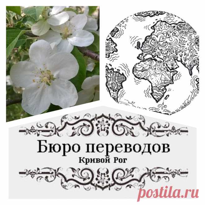 Лучшие цены 💰💵 в Кривом Роге только в нашем бюро переводов! Как на перевод документов 📂 так и на легализацию. Огромное количество языков мира 🔤 от английского до японского. Звоните по телефону 📲 (056) 4990304 сайт www.buroperevodov.net Бюро переводов Кривой Рог #бюропереводов #перевод #апостиль #кривойрог #Украина #легализация #perevod #translate #buroperevodov #krivoyrog #Ukraine #instakrivoyrog #following #world