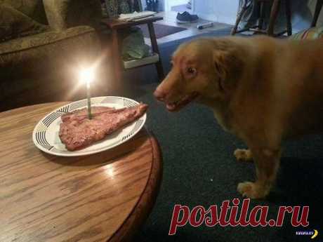 ДЕНЬ РОЖДЕНИЯ!!!