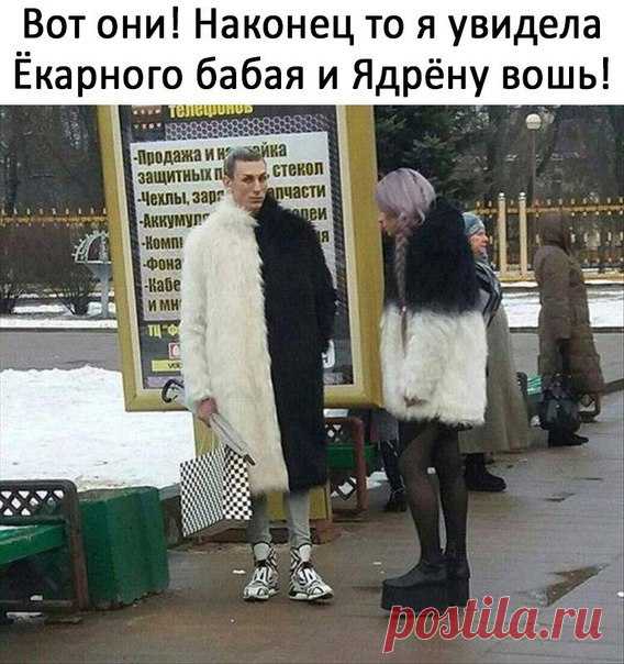 rgOKTKvPu8o.jpg (568×604)