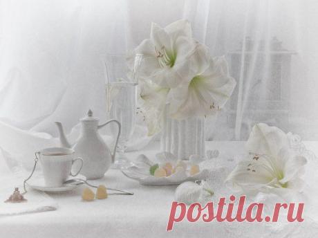 (41) Одноклассники