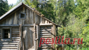 В глуши под Тихвином нашли 100-летнюю отшельницу, не говорящую по-русски