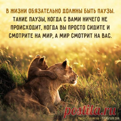 Умные мысли.