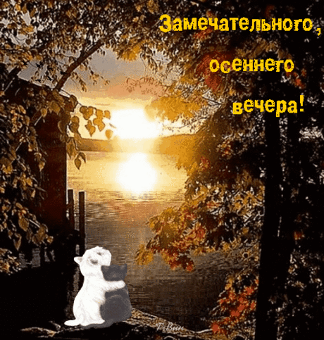 Анимированная открытка Замечательного, осеннего вечера!