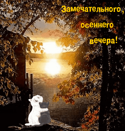 Анимированная открытка Замечательного, осеннего вечера!